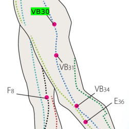 VB30